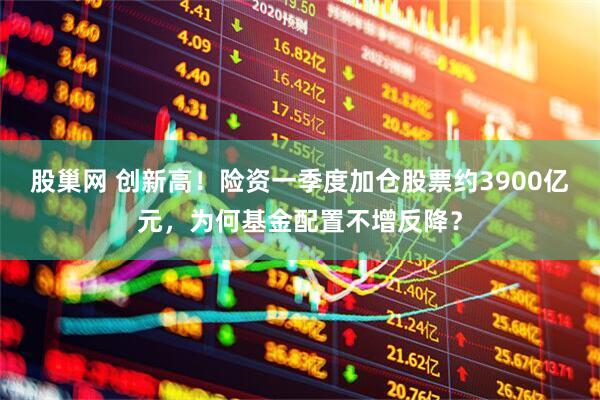 股巢网 创新高！险资一季度加仓股票约3900亿元，为何基金配置不增反降？